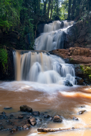 Kenya - Nairobi - Karura Forest