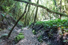 La Palma - La Catedral