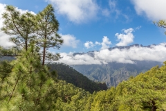 La Palma - Mirador de la Cumbrecita