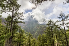 La Palma - Mirador de la Cumbrecita