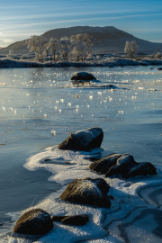 Scotland - Highlands - Rannoch Moor