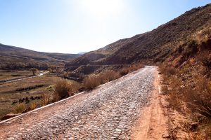 Wo geht die Reise hin?