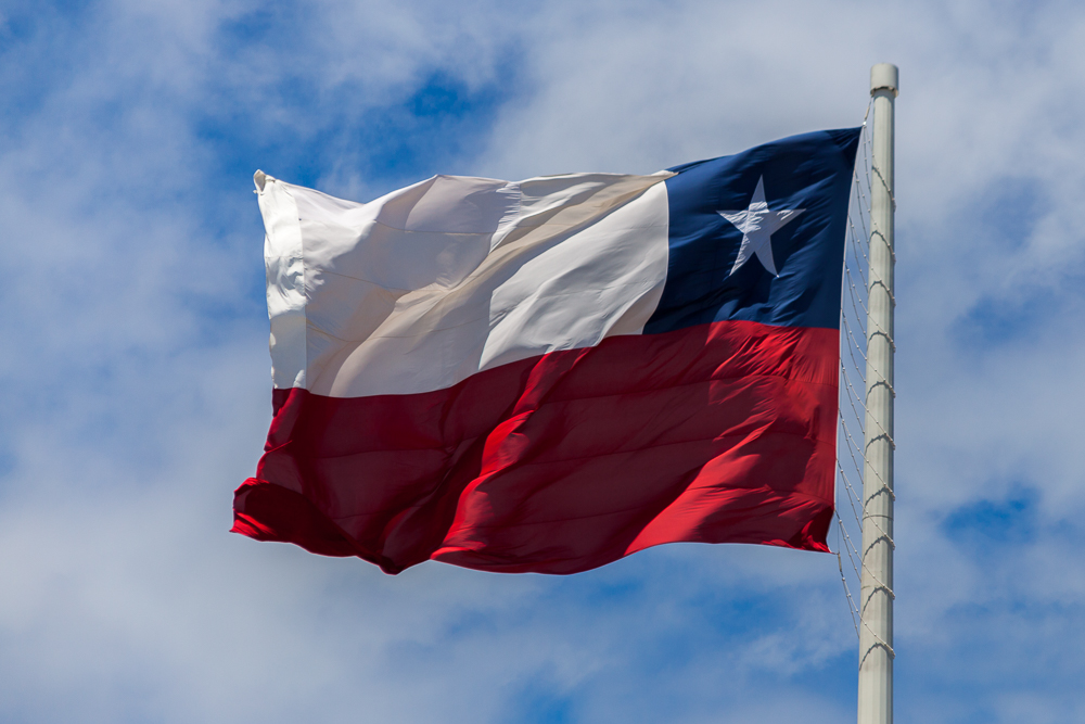 die chilenische Fahne