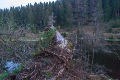Harz - Okerstausee