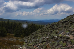 Harz - Schnee auf der Wolfswarte