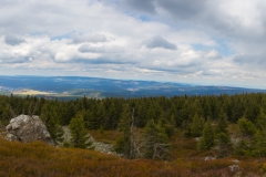Harz - Schnee auf der Wolfswarte