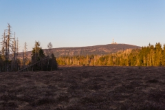 Harz - Blick auf den Brocken