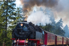 Harz - auf zum Brocken