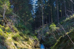 Harz - auf zum Brocken