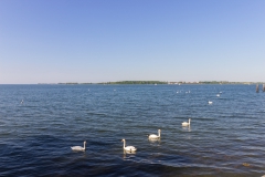Stralsund