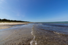 Rügen