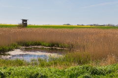 Rügen - Kap Arkona