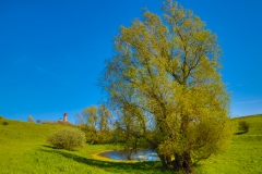 Rügen - Kap Arkona