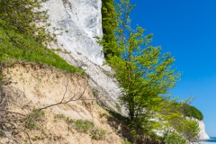Rügen - Kreidefelsen vor dem Königsstuhl