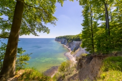 Rügen - Kreidefelsen vor dem Königsstuhl