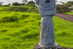 20170127-1021_MG_2149