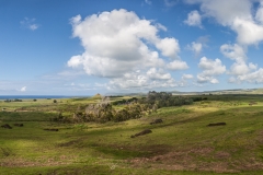 20170128-0859_MG_2459-Pano