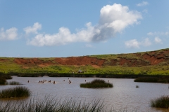 Tapati Rapa Nui - "Triathlon" am Rano Raraku - erste Diziplin: Rudern