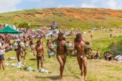 Tapati Rapa Nui - "Triathlon" am Rano Raraku - zweite Diziplin: Banenenstaude um den See tragen