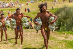 Tapati Rapa Nui - "Triathlon" am Rano Raraku - zweite Diziplin: Banenenstaude um den See tragen