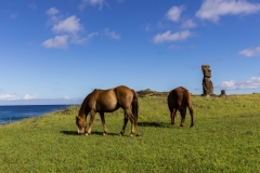 Osterinsel - entlang der Westküste