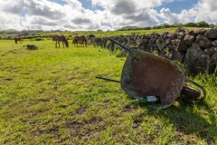 Osterinsel - entlang der Westküste