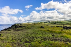 Osterinsel - entlang der Westküste