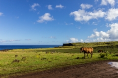 Osterinsel - entlang der Westküste