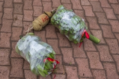 Vorbereitungen für ein Event des Tapati - es müssen wieder Bananen getragen werden - über der Schulter und dann links und rechts je eine