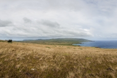 Osterinsel: am Vulkan Puakatike/Poike