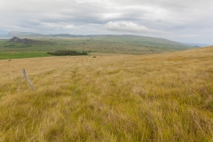 Osterinsel: am Vulkan Puakatike/Poike