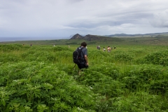 Den Kanadiern hinterher :-)