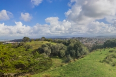 Auckland - Cornwall Park und One Tree Hill