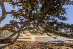 Neuseeland - Nordinsel - Ostküste - vor Goat Island