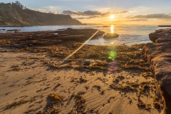 Neuseeland - Nordinsel - Ostküste - vor Goat Island