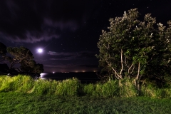 Neuseeland - Nordinsel - Ostküste - vor Goat Island