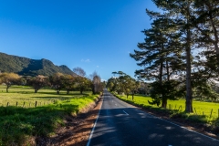 Neuseeland - Nordinsel - Ostküste - Twin Coast Highway