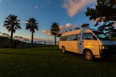 Neuseeland - Nordinsel - Ostküste - Treasure Island, Pataua