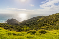Neuseeland - Nordinsel - Northland - am Cape Reinga - Wanderweg zum Te Werahi Beach