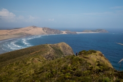 Neuseeland - Nordinsel - Northland - am Cape Reinga - Wanderweg zum Te Werahi Beach