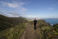 Neuseeland - Nordinsel - Northland - am Cape Reinga - Wanderweg zum Te Werahi Beach