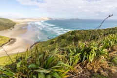 Neuseeland - Nordinsel - Northland - am Cape Reinga - Wanderweg zum Te Werahi Beach