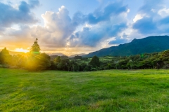 Neuseeland - Westküste - bei Herekino