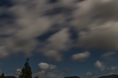 Neuseeland - Nordinsel - Westküste - am Campingplatz Traveller Hut