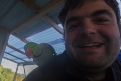 Neuseeland - Nordinsel - Westküste - am Campingplatz Traveller Hut