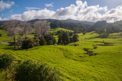 Neuseeland - Nordinsel - Westküste - am Campingplatz Traveller Hut