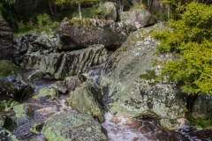 Neuseeland - Nordinsel - Westküste - Wairere Boulders