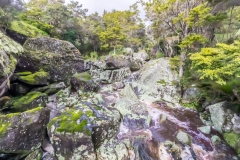 Neuseeland - Nordinsel - Westküste - Wairere Boulders