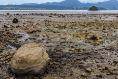 Neuseeland - Nordinsel - Westküste - Koutu Boulders
