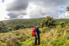Neuseeland - Nordinsel - Westküste - beim Waipua Forrest